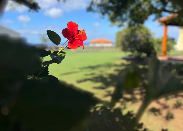 فيلة Casa Punta Del Viento Tenerife El Pris