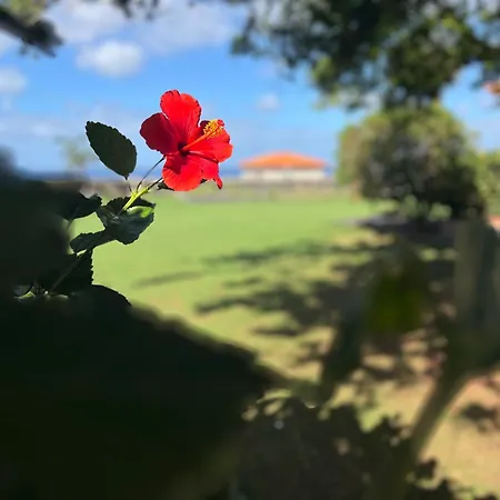 Βίλα Casa Punta Del Viento Tenerife El Pris