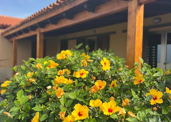 Casa Punta Del Viento Tenerife * El Pris